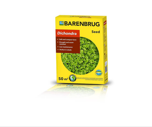 بذر چمن زینتی دایکوندرا