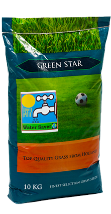 بذر چمن گرین استار هلند
