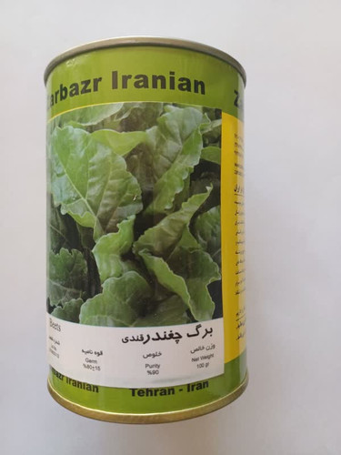 بذر چغندر برگی